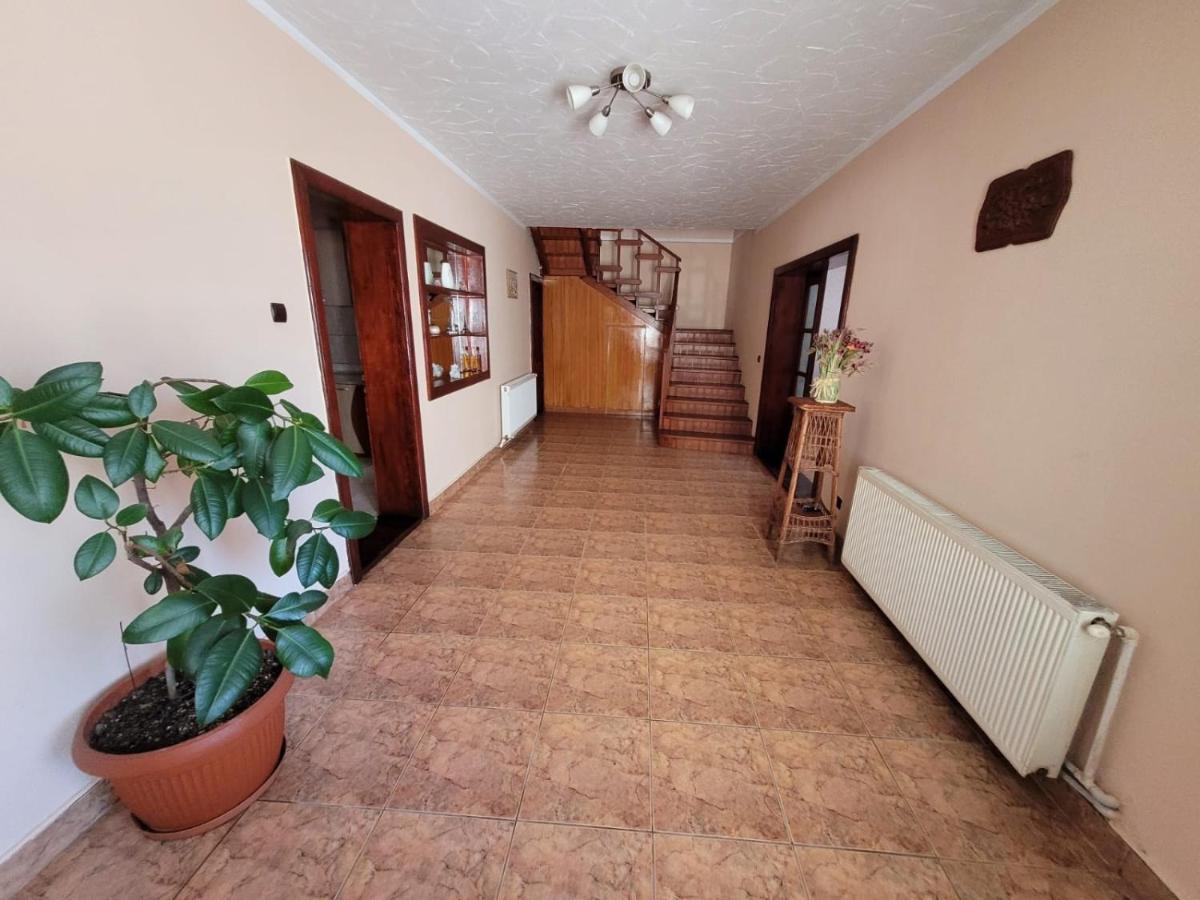 Casa Basu Villa Baile Herculane Ngoại thất bức ảnh